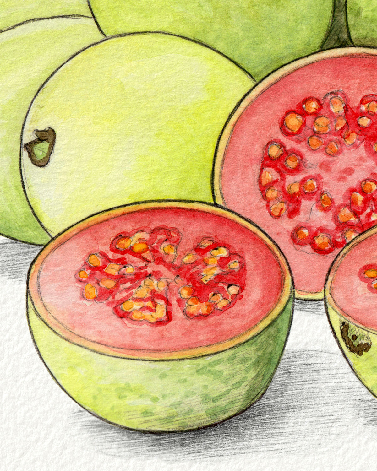 Guava