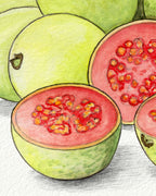 Guava