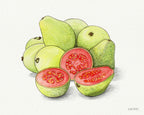 Guava