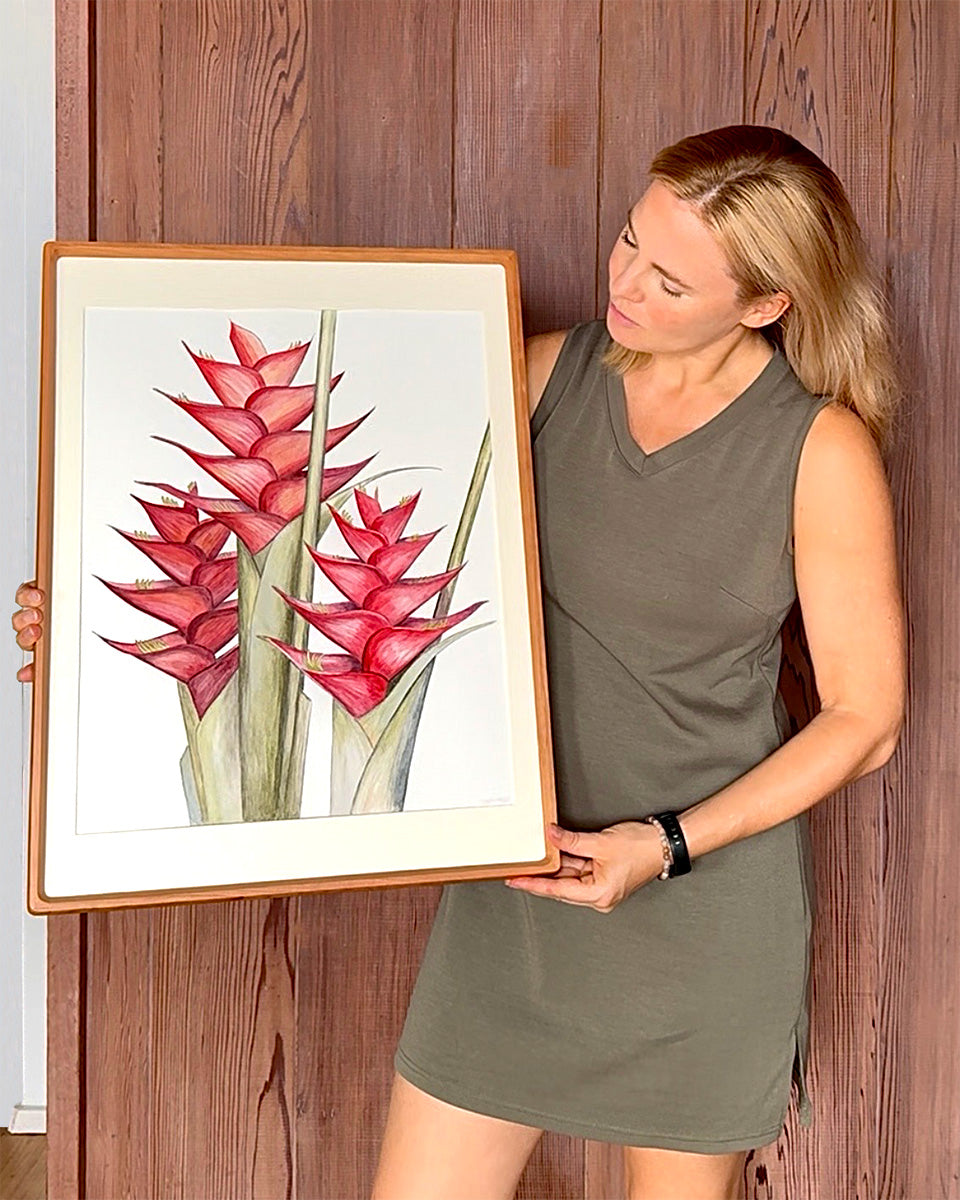 Red Heliconia Caribaea