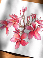 Cherry Pink Plumeria - 12x12" Limited Edition Print