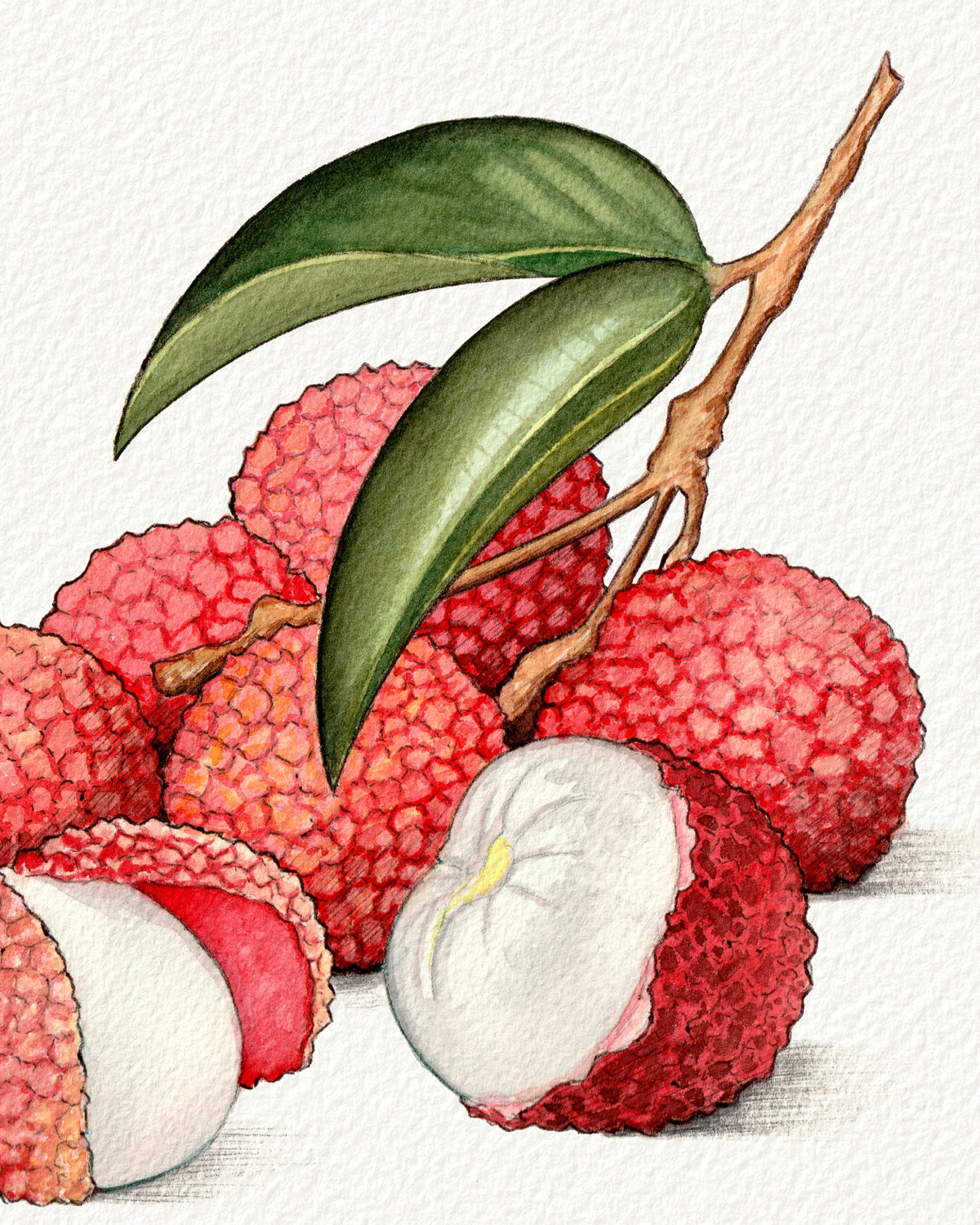 Lychee
