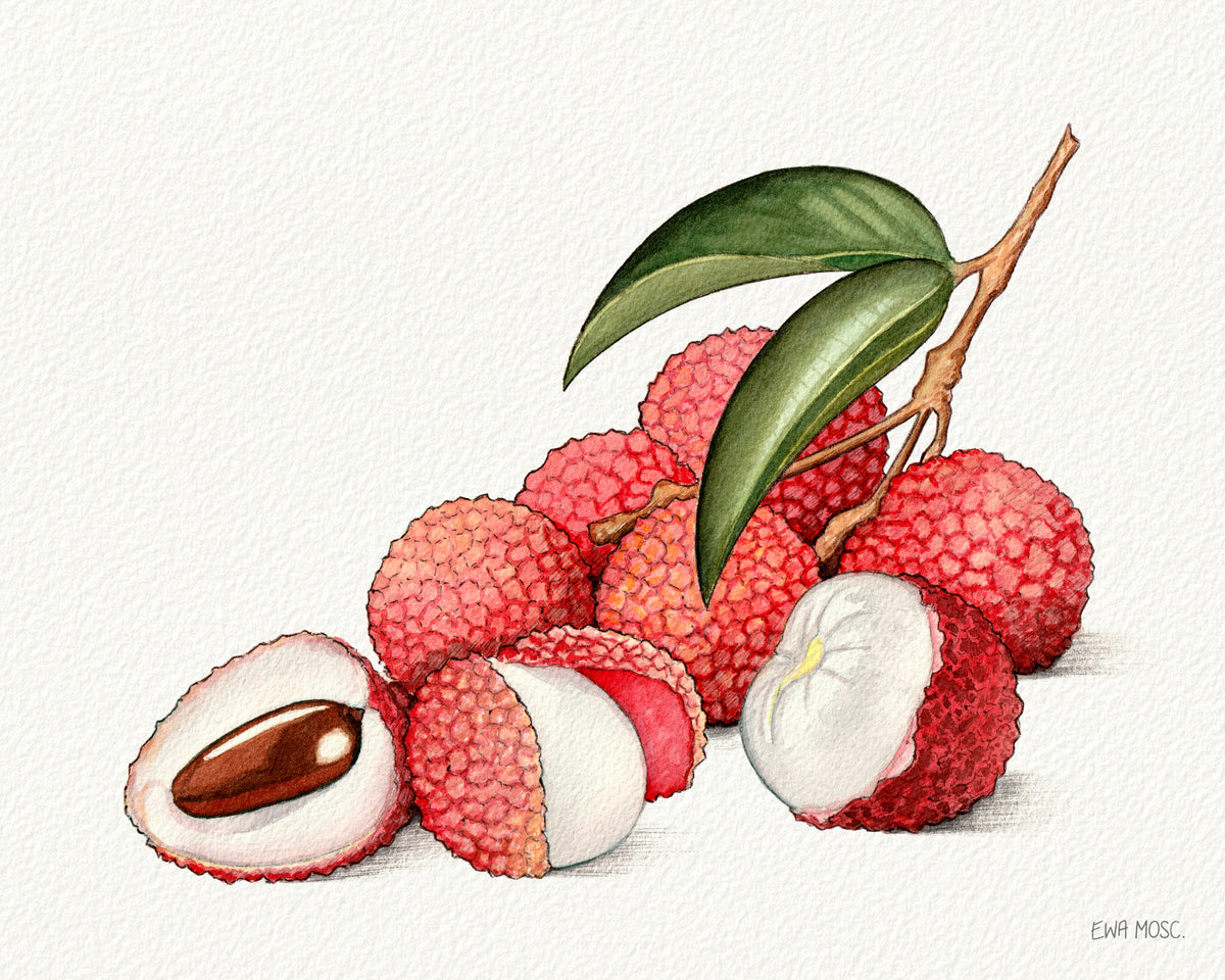 Lychee