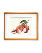 Lychee