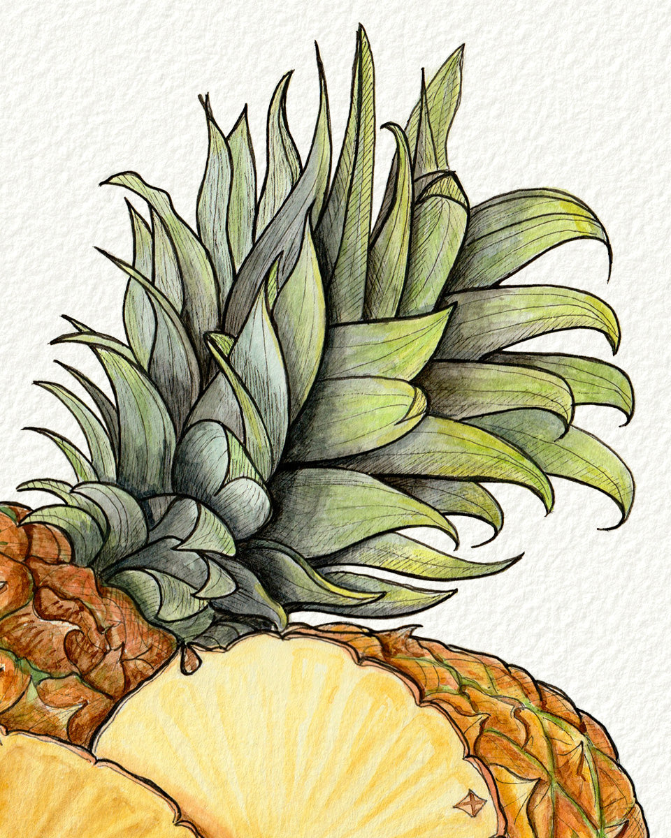 Pineapple