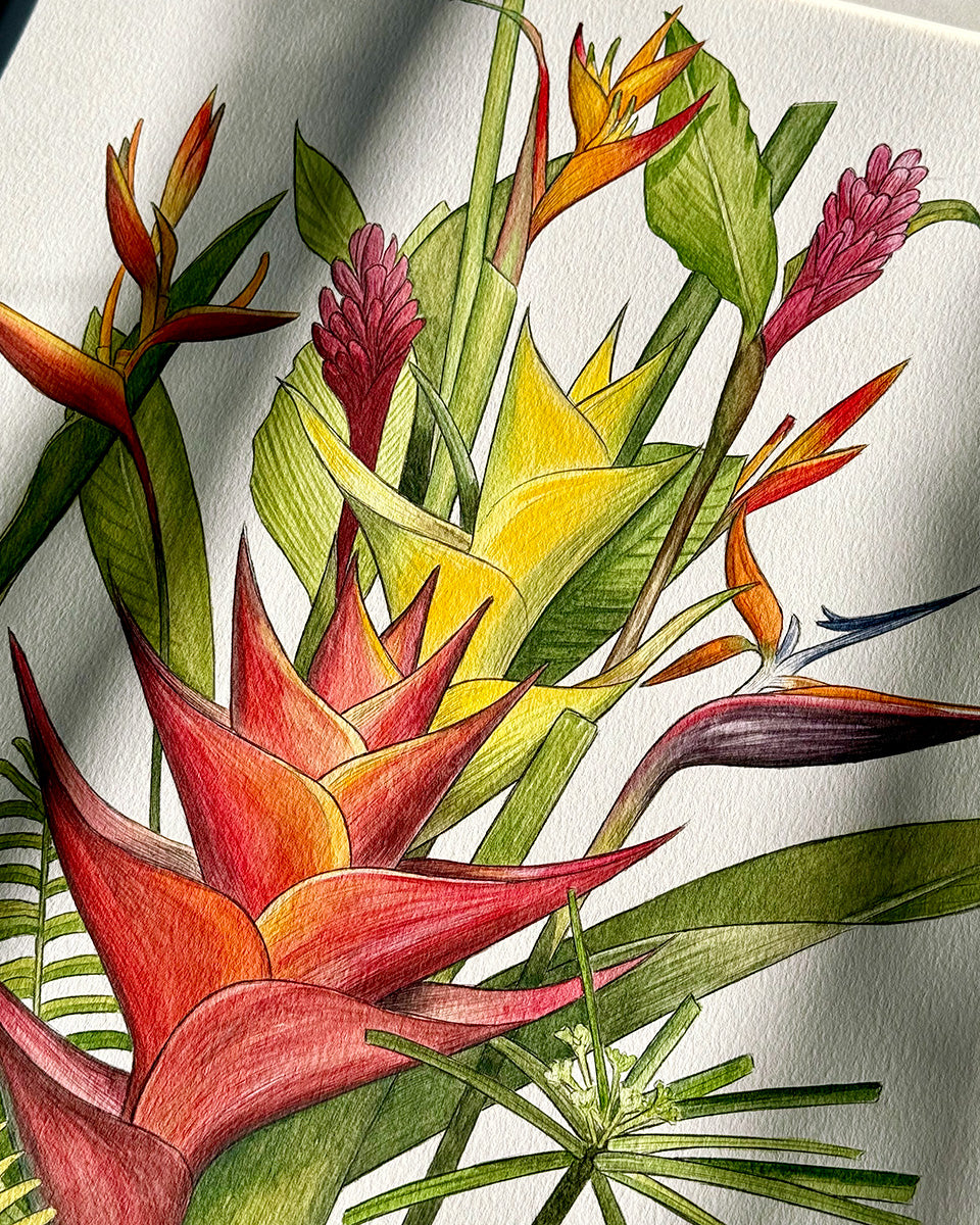 Tropical Blooms