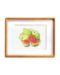 Guava