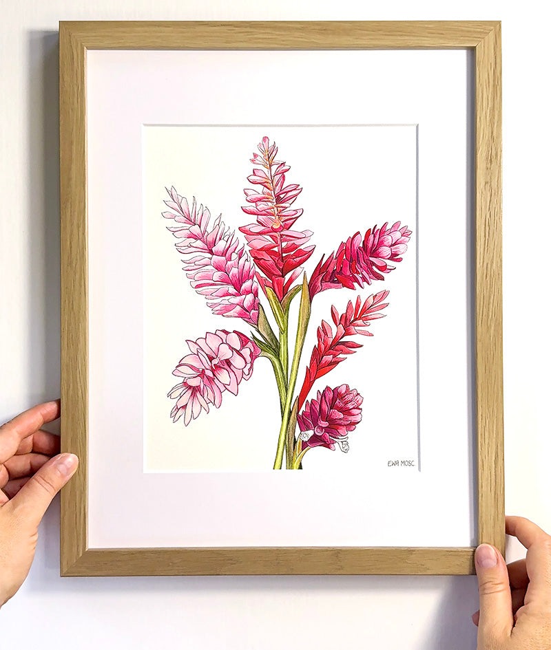 Pink & Red Gingers
