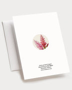 Gingers - Set of 10 Folding Cards