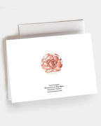 Torch Gingers - Set of 10 Folding Cards