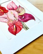 Anthuriums - 11x14" Limited Edition Print