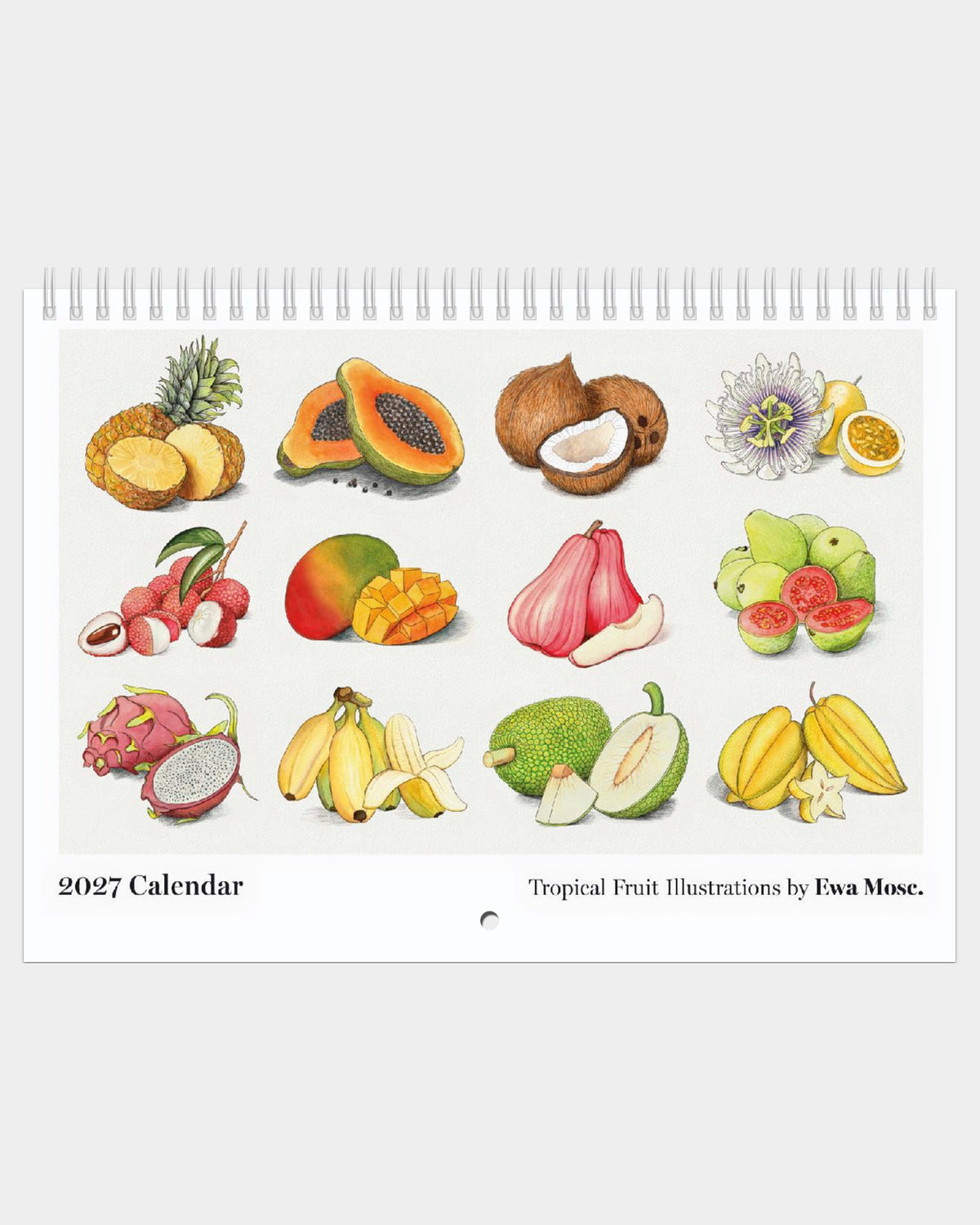 2027 Tropical Fruits Large Wall Calendar