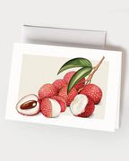 Lychee - Set of 10 Folding Cards
