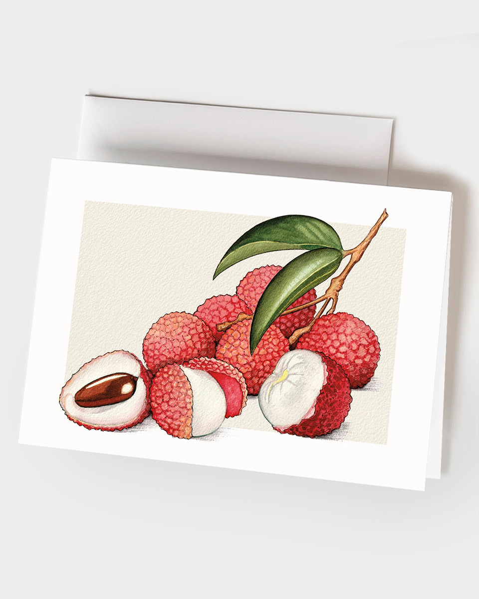 Lychee - Set of 10 Folding Cards