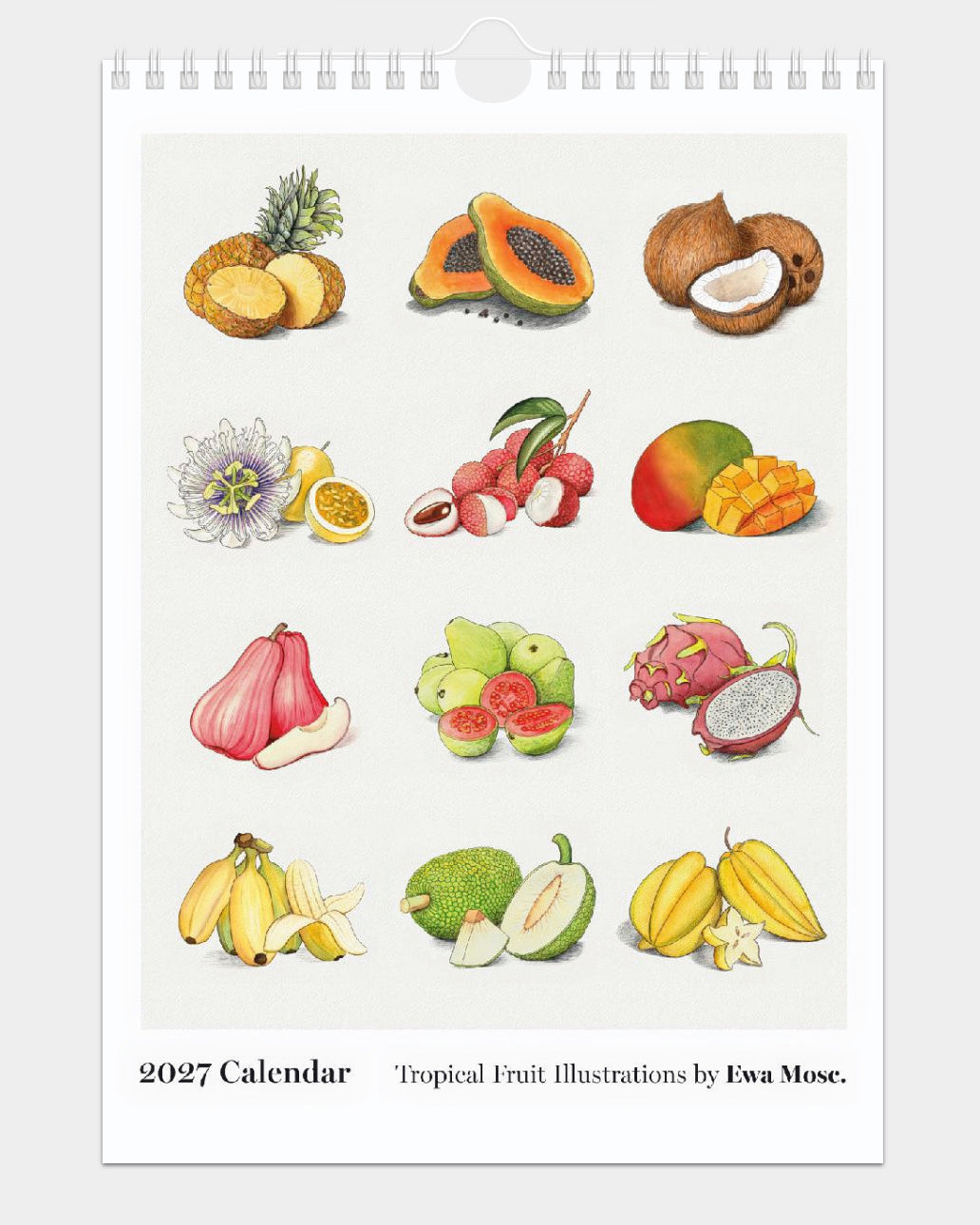 2027 Tropical Fruits Small Wall Calendar