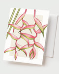 Pink Heliconia - Set of 10 Folding Cards
