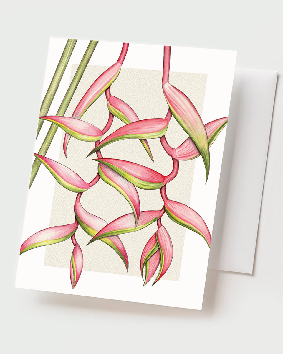 Pink Heliconia - Set of 10 Folding Cards