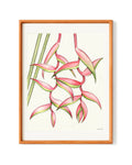 SOLD - Heliconia "Sexy Pink"