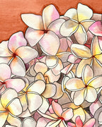 Pink & White Plumerias