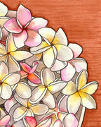 Pink & White Plumerias