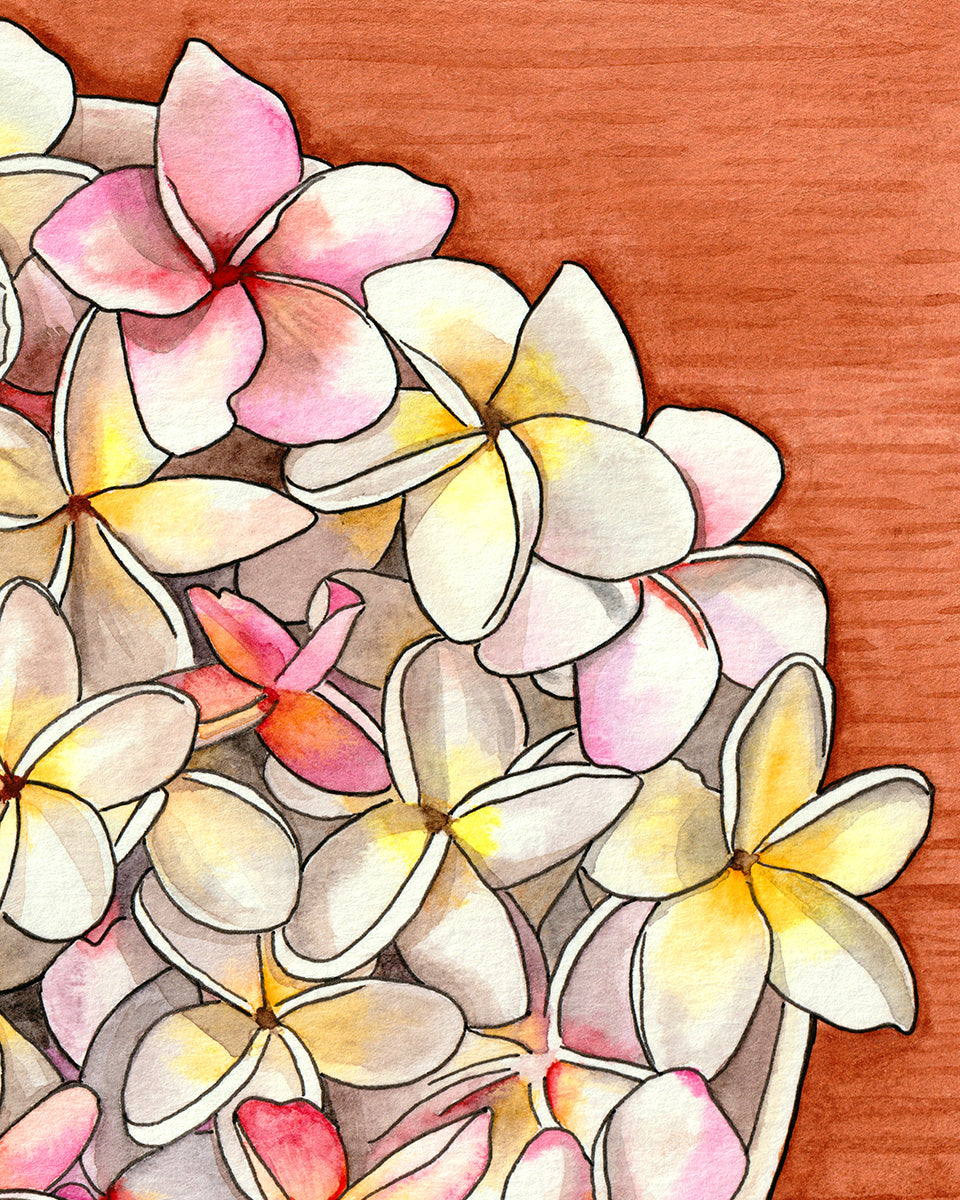 Pink & White Plumerias