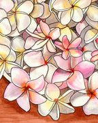 Pink & White Plumerias