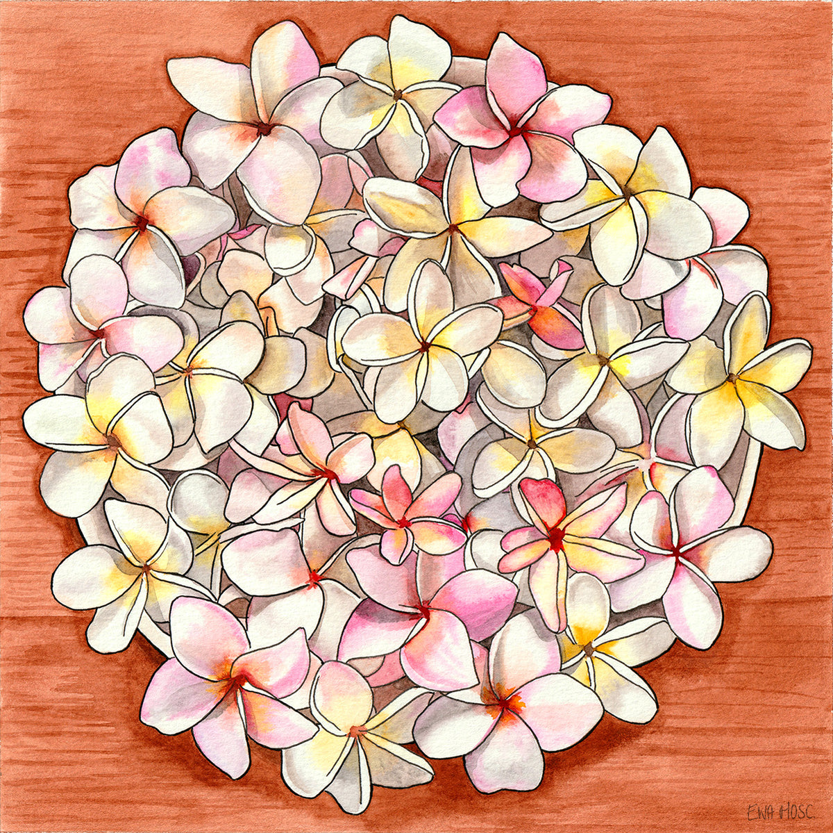 Pink & White Plumerias