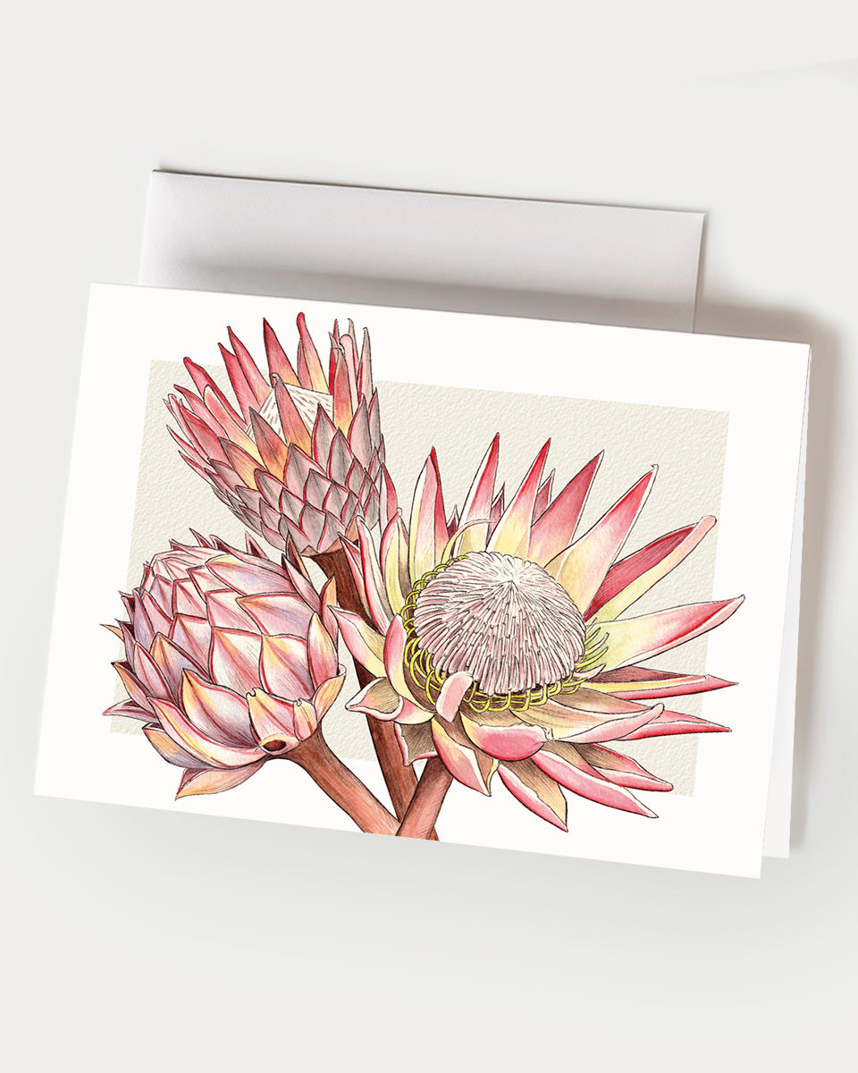 Proteas - Set of 10 Folding Cards