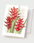 Red Heliconia - Set of 10 Folding Cards