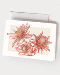 Torch Gingers - Set of 10 Folding Cards