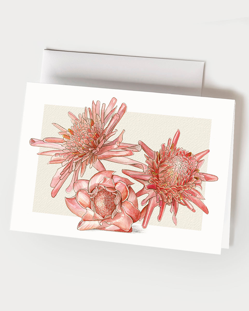 Torch Gingers - Set of 10 Folding Cards