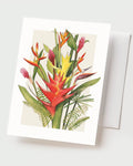 Tropical Blooms - Set of 10 Folding Cards