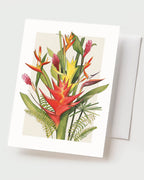 Tropical Blooms - Set of 10 Folding Cards