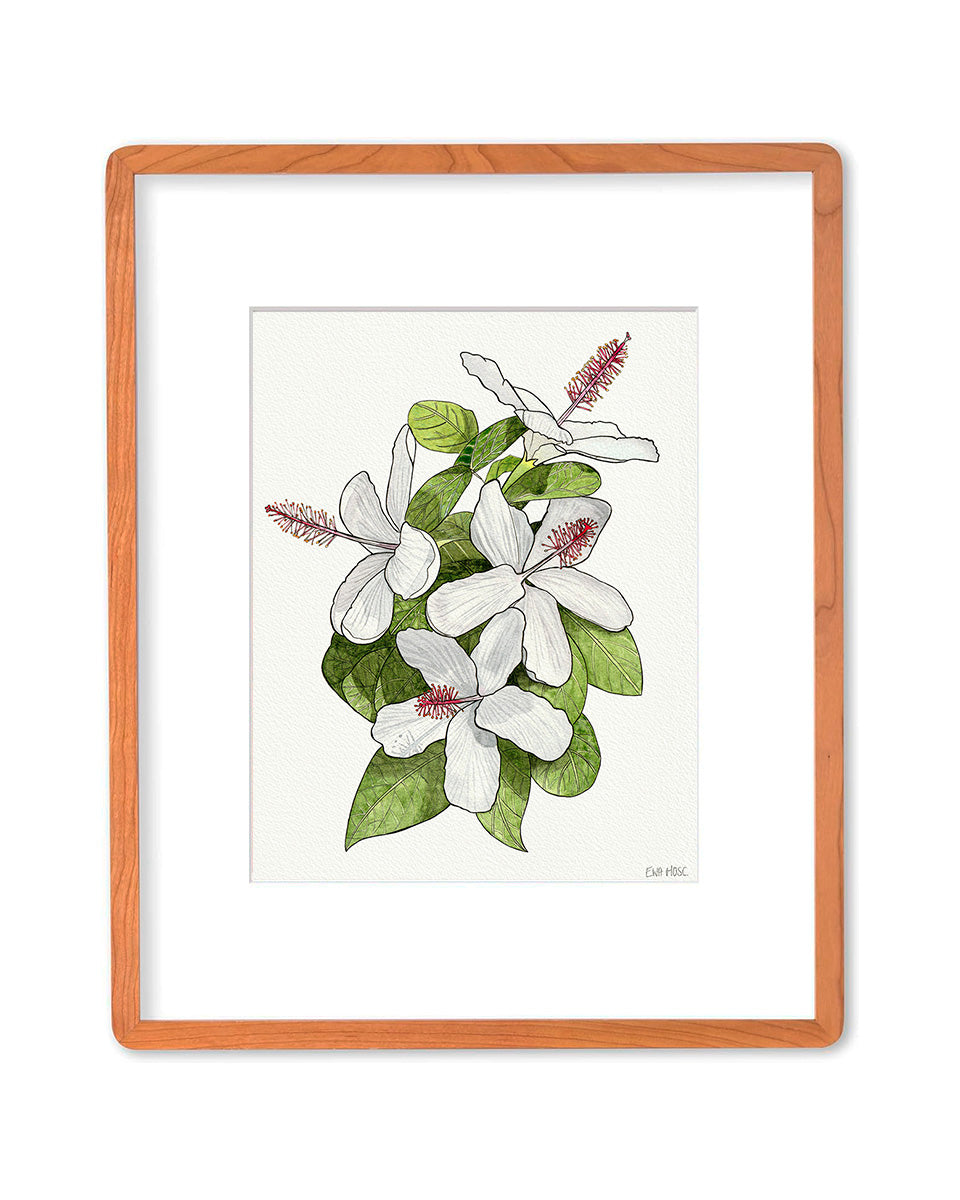 SOLD - White Hibiscus Native to Hawaii