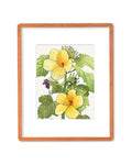 SOLD - Yellow Hibiscus Native to Hawaii