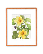 SOLD - Yellow Hibiscus Native to Hawaii