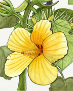 SOLD - Yellow Hibiscus Native to Hawaii