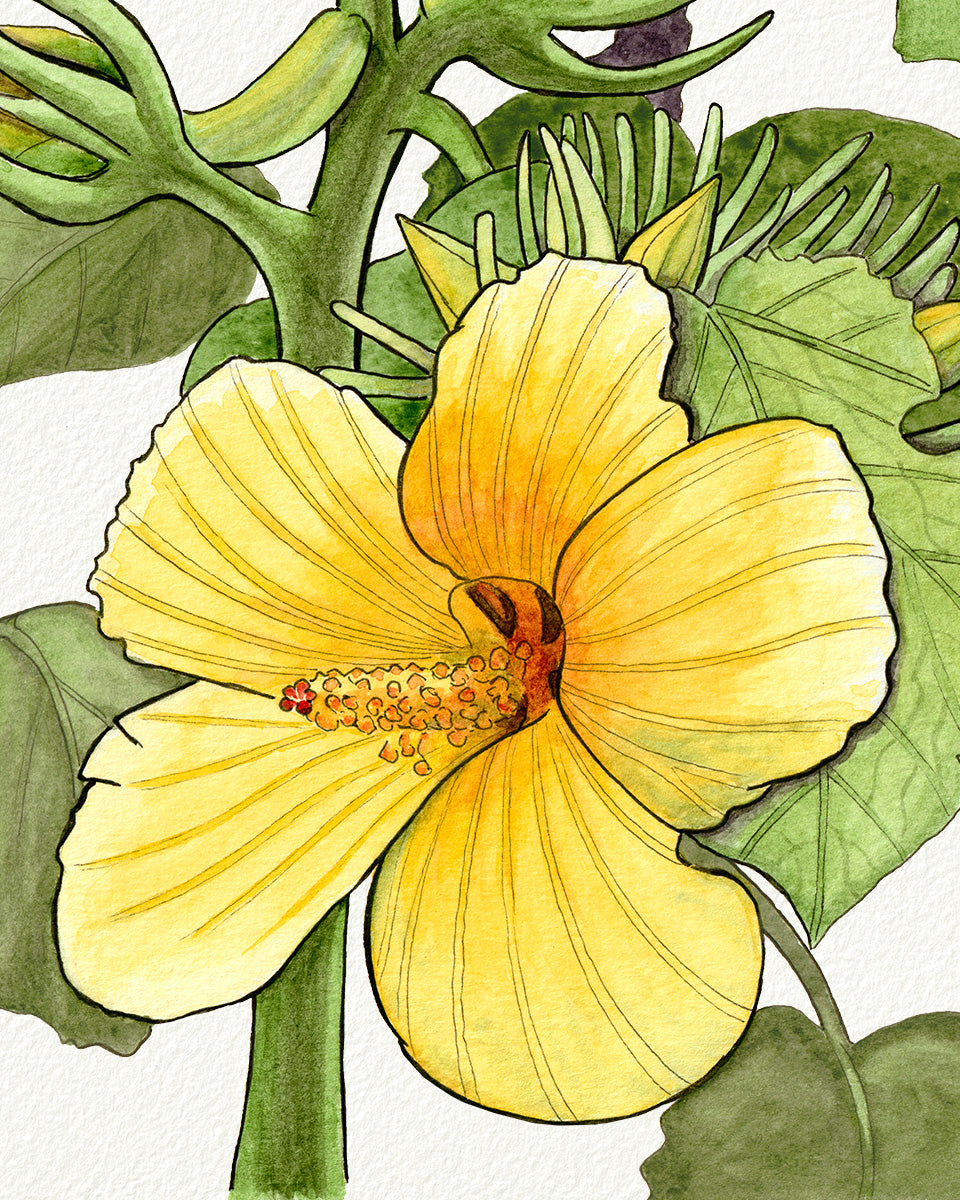 SOLD - Yellow Hibiscus Native to Hawaii