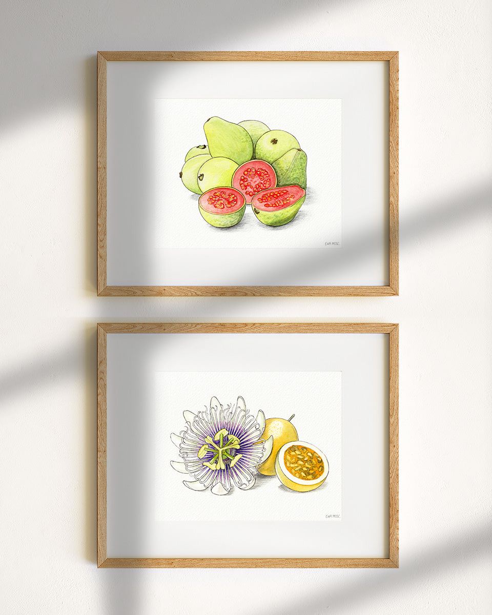 Guava