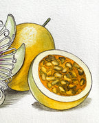 Liliko'i/Passion Fruit