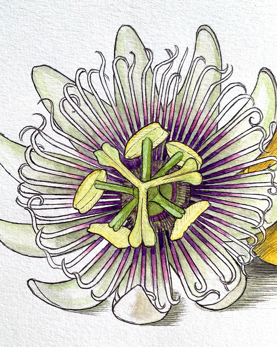 Liliko'i/Passion Fruit