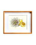 Liliko'i/Passion Fruit