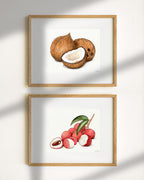 Lychee